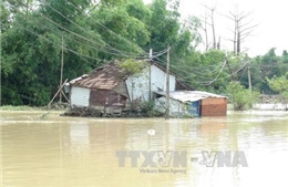 Khánh Hòa kêu gọi khẩn cấp hỗ trợ khắc phục hậu quả mưa lũ